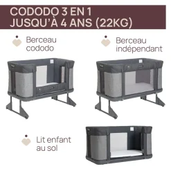 Cododo*Chicco Berceau cododo Next 2 Me Forever de Rice