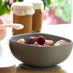 Bols*Béaba Bol silicone ventouse de Grey