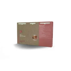 Vêtements|Lingerie*Carriwell Ceinture de maintien abdominal en coton biologique de Beige