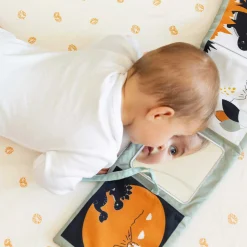 Livres*Trois Kilos Sept Diplododo Livre d'éveil de Dinosaure