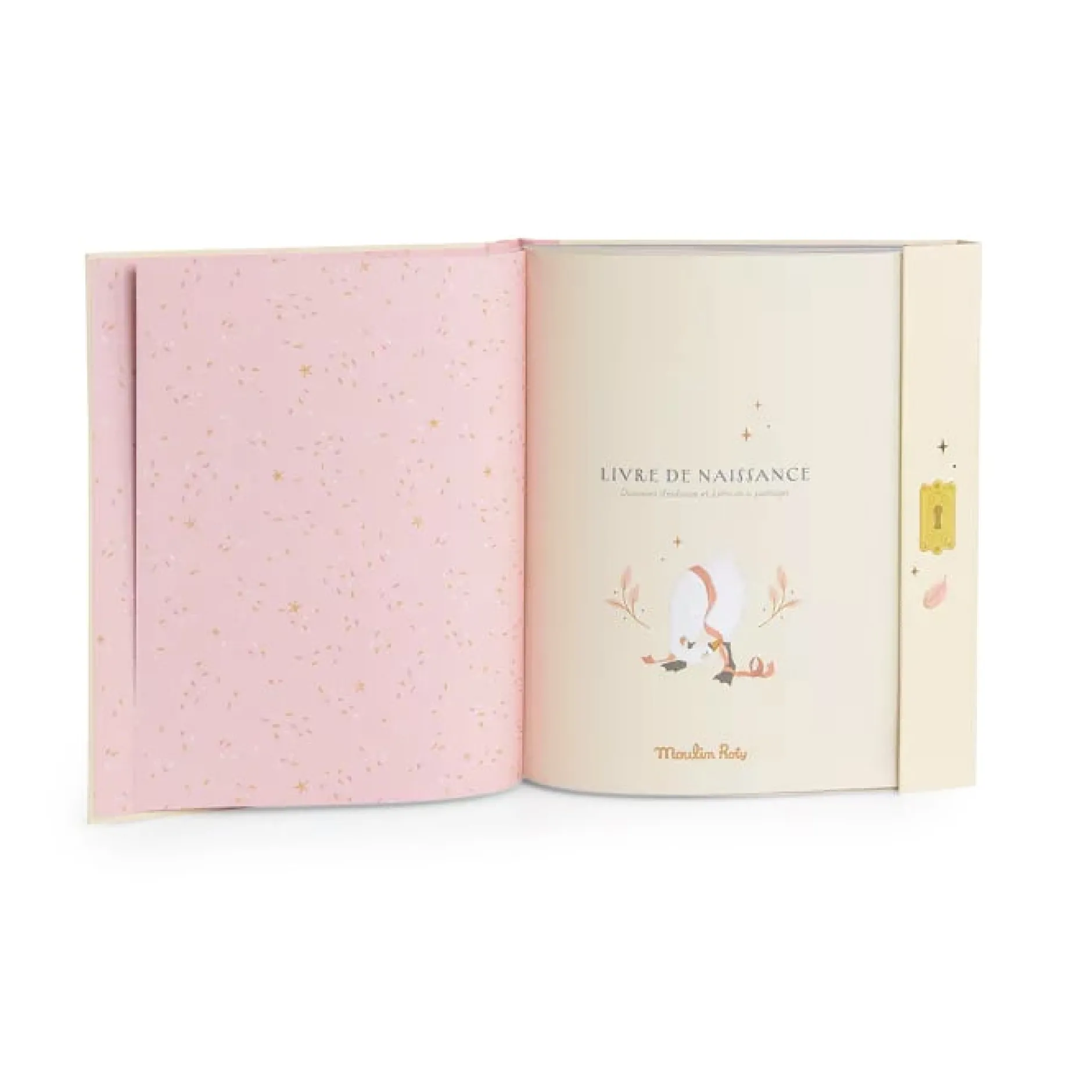 Albums*Moulin Roty La Petite École de Danse Livre de Naissance de Rose