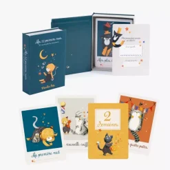 Albums*Moulin Roty Les Moustaches Cartes Mes 12 premiers mois de