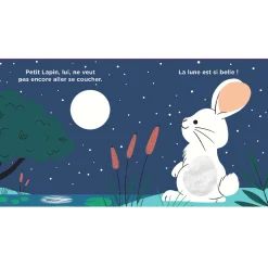 Livres*Larousse Livre Au dodo, Petit Lapin ! de