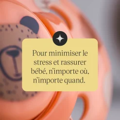 Sucettes*Tommee Tippee Lot de 2 sucettes Fun 18-36 mois de Aléatoire