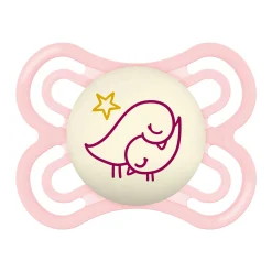 Sucettes*Mam Lot de 2 Sucettes Perfect Nuit 2-6M de Aléatoire