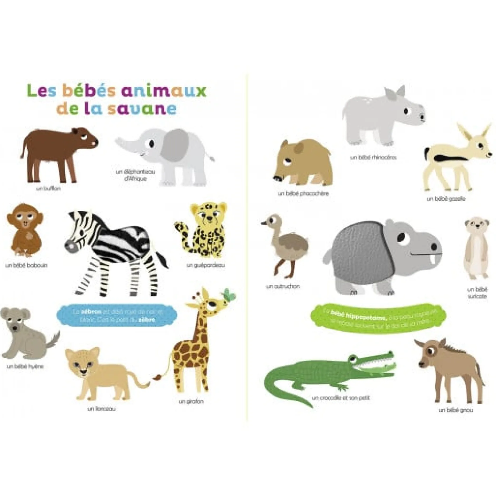 Livres*AUZOU Mes premiers bébés animaux à toucher de