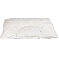 Couettes Et Oreillers*P'tit Dodo Oreiller Bout d'Chou 35 x 45 cm de