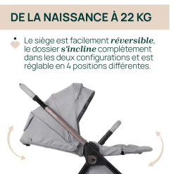 Tout Pour Vos Balades|Poussettes Citadines*Chicco Poussette Bellagio + Adaptateurs de Lunar Rock