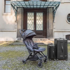 Poussettes Cannes|Tout Pour Vos Balades*William Kent 1733 Poussette Canne Aquila Plus de Smart grey