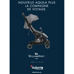 Poussettes Cannes|Tout Pour Vos Balades*William Kent 1733 Poussette Canne Aquila Plus de Grey