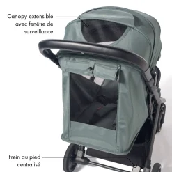 Poussettes Cannes|Tout Pour Vos Balades*William Kent 1733 Poussette Sirius de Green