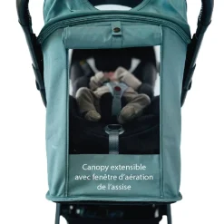 Poussettes Cannes|Tout Pour Vos Balades*William Kent 1733 Poussette Sirius de Green