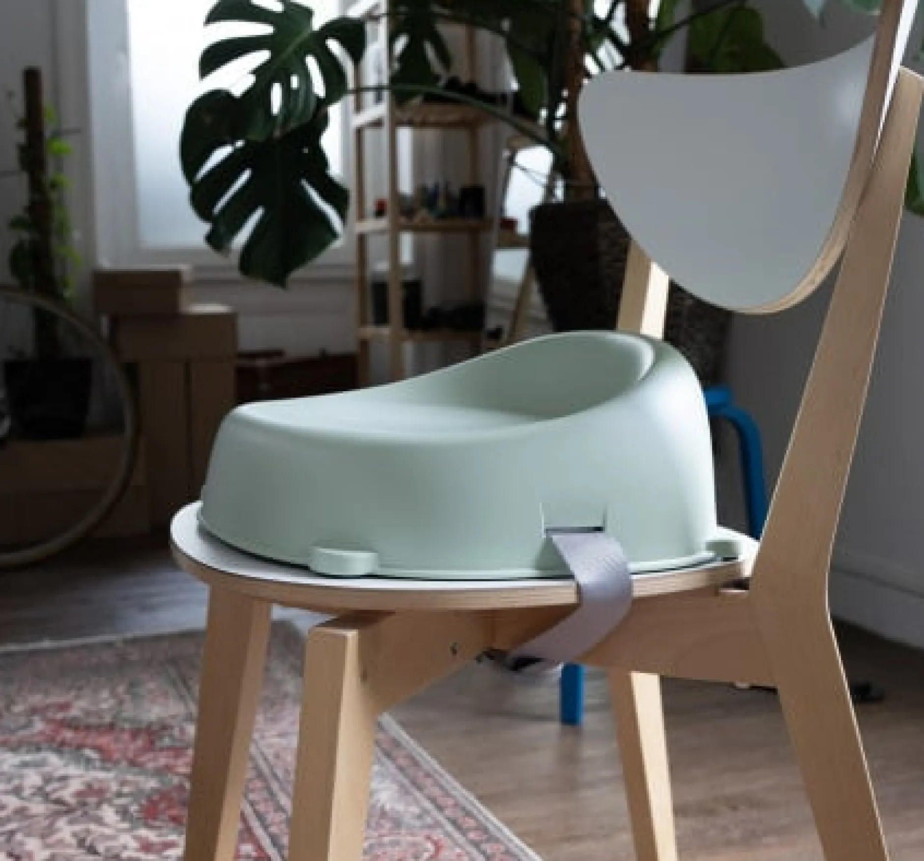 Rehausseurs*Thermobaby Réhausseur Easy de Vert celadon