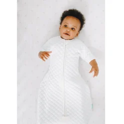 Gigoteuses & Nids D'Ange*aden + anais essentials Sac nid à manches de Gris/Bleu