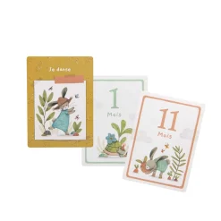 Albums*Moulin Roty Trois petits lapins Cartes Mes 12 premiers mois de