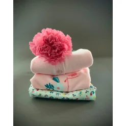 T-Shirts, Blouses, Chemises*P'tit bisou T-shirt manches courtes Jardin Extraordinaire 3 mois de Rose