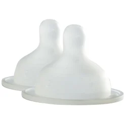 Tétines*Béaba Tétine en silicone Biboz x2 1er age de